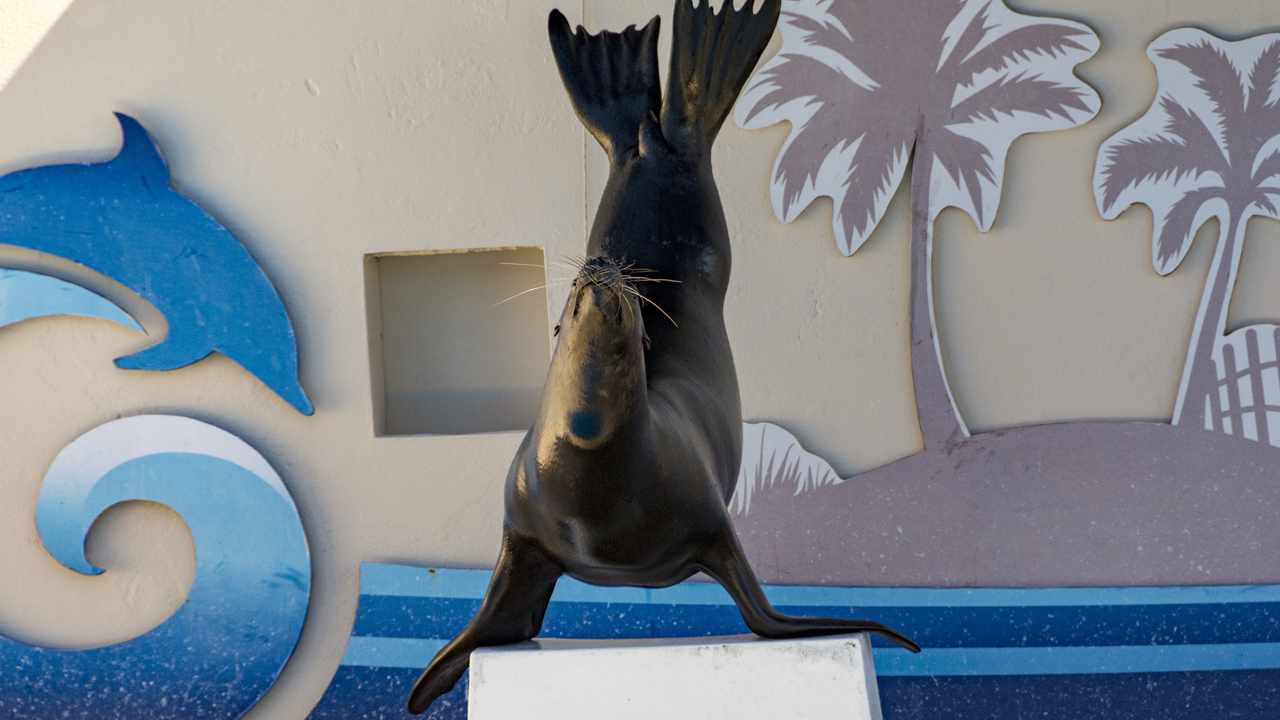 20160217-123548••Fort Walton Beach•Florida•USA